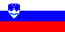 Slovenia flag