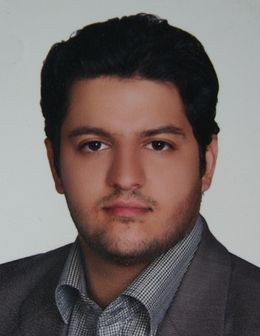 Seyedsaeid  Mirmohammadi