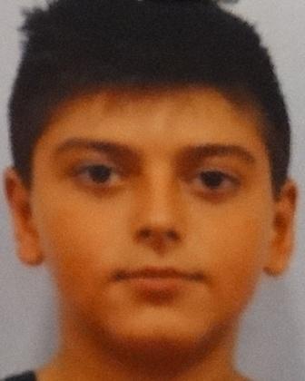 Theodosis  Papaliodis