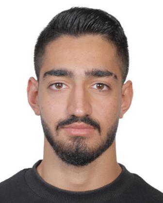 Mohammadreza  Mehraeihamzehkolaei