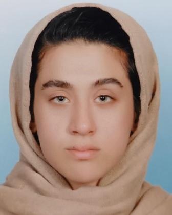 Fatemeh  Moradikarvaei